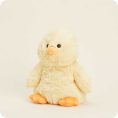 Duck-0029
