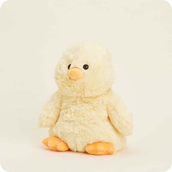 Duck-0029