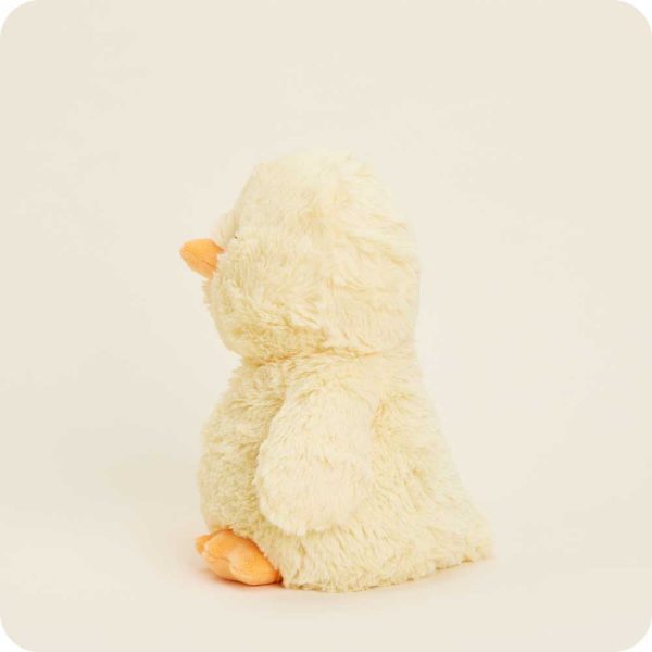 Duck-0030