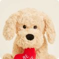 GoldenDog-BeMine-0035-1