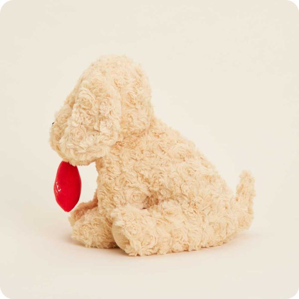 GoldenDog-BeMine-0037