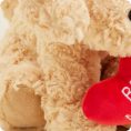 GoldenDog-BeMine-0042
