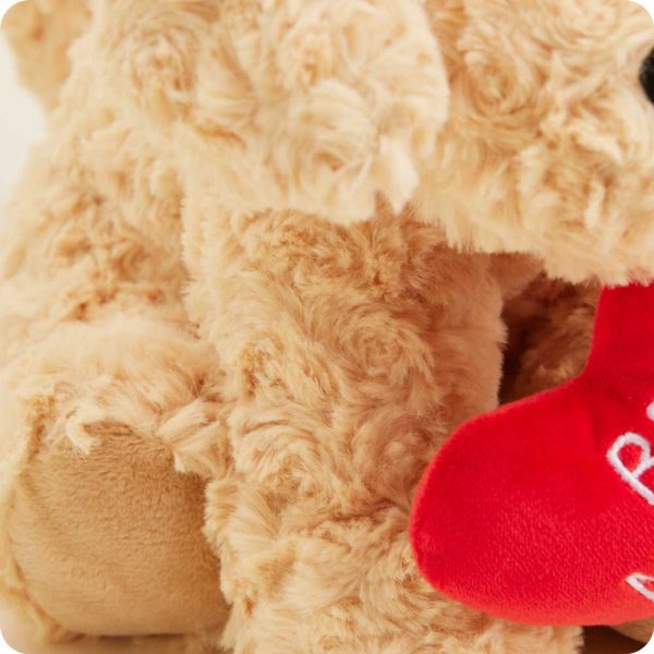 GoldenDog-BeMine-0042