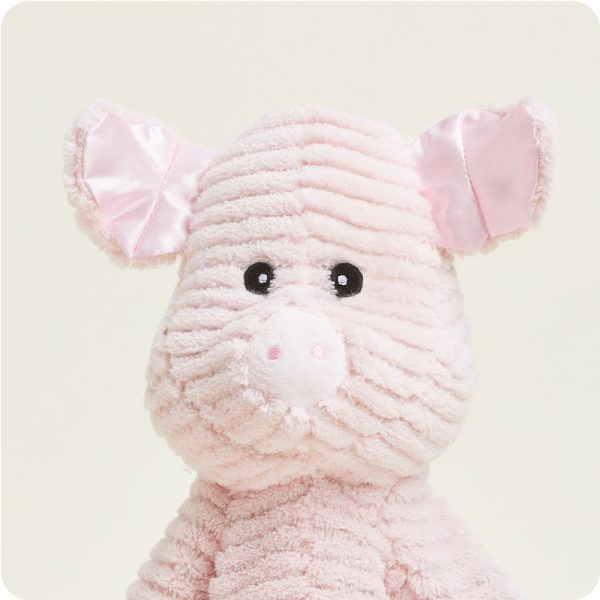 MFW-PIG-2-Pig-My-First-01