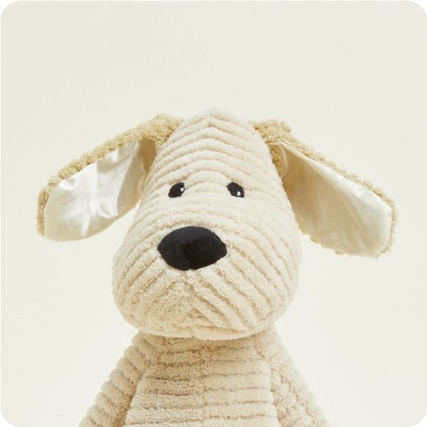 MFW-PUP-2-Puppy-My-First-02