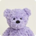 Purple-Bear2100-1