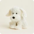 White-Dog2039