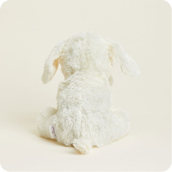 White-Dog2041