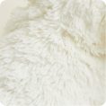 White-Dog2045